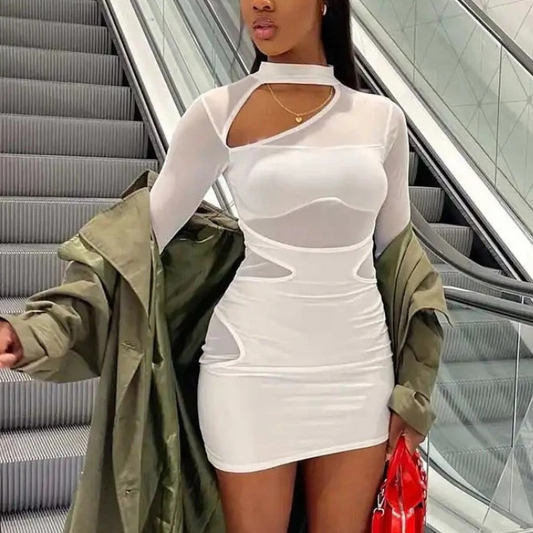Hollow Out Long Sleeve Semi Sheer Mini Dress