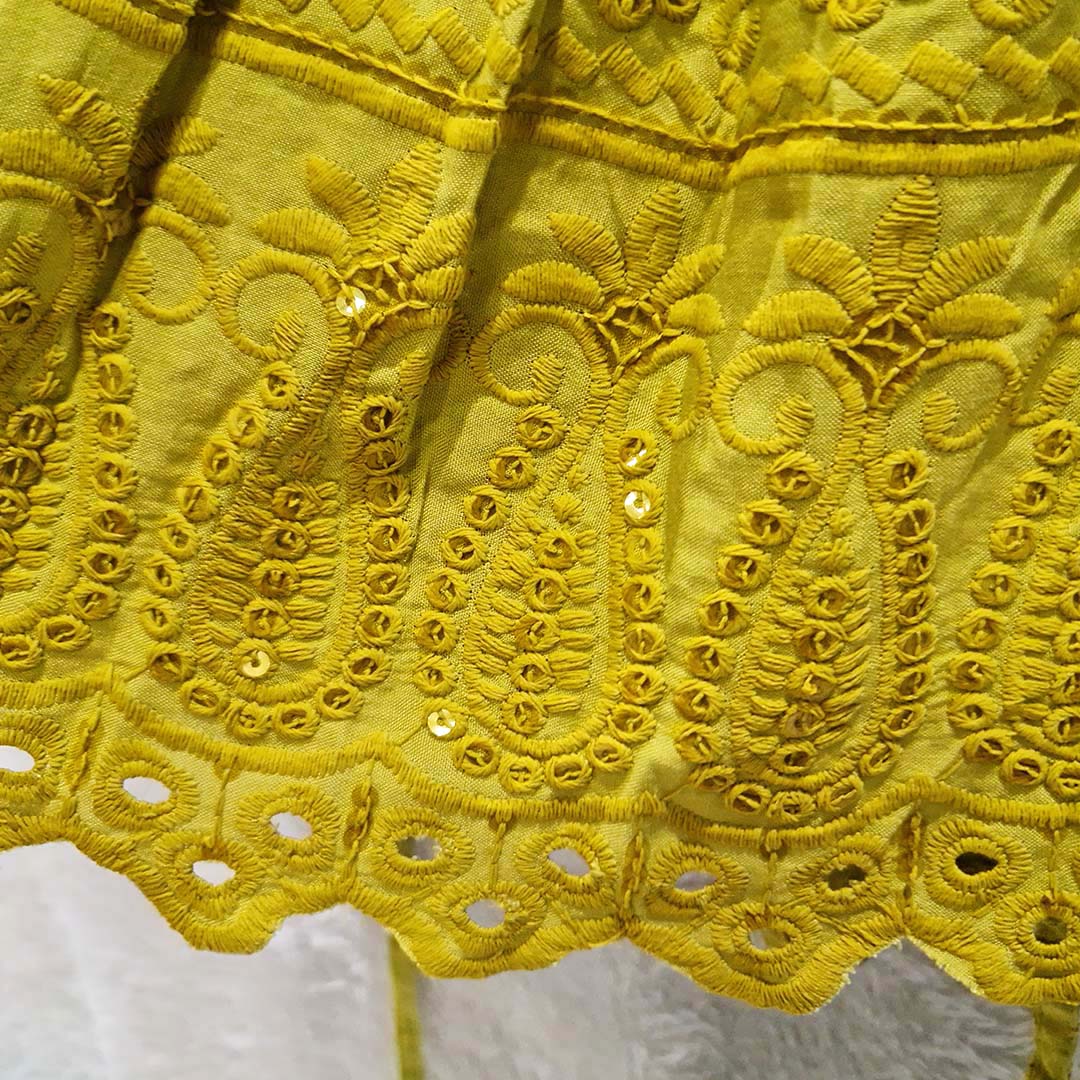 Chikankari Chiffon Padded Halter Neck Top