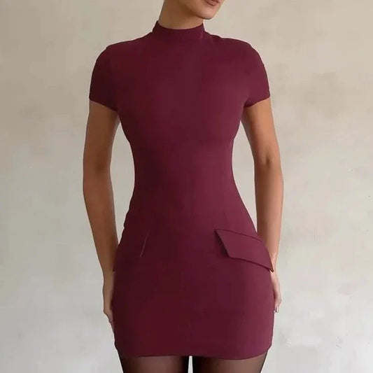 Short Sleeve Turtle Neck Bodycon Dress